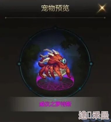 dnf迷你宠物罗斯特选哪个？